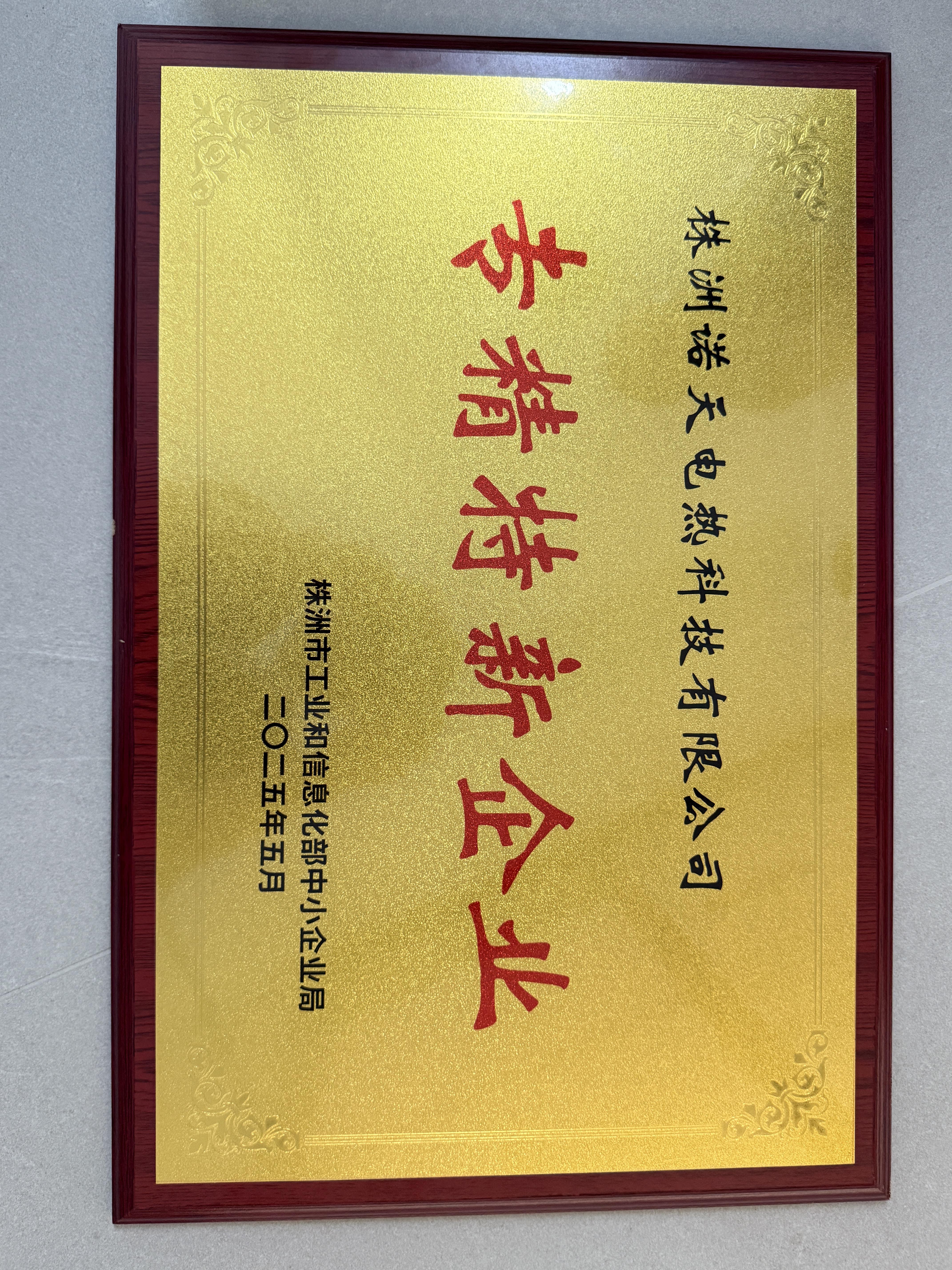 專精特新企業(yè)